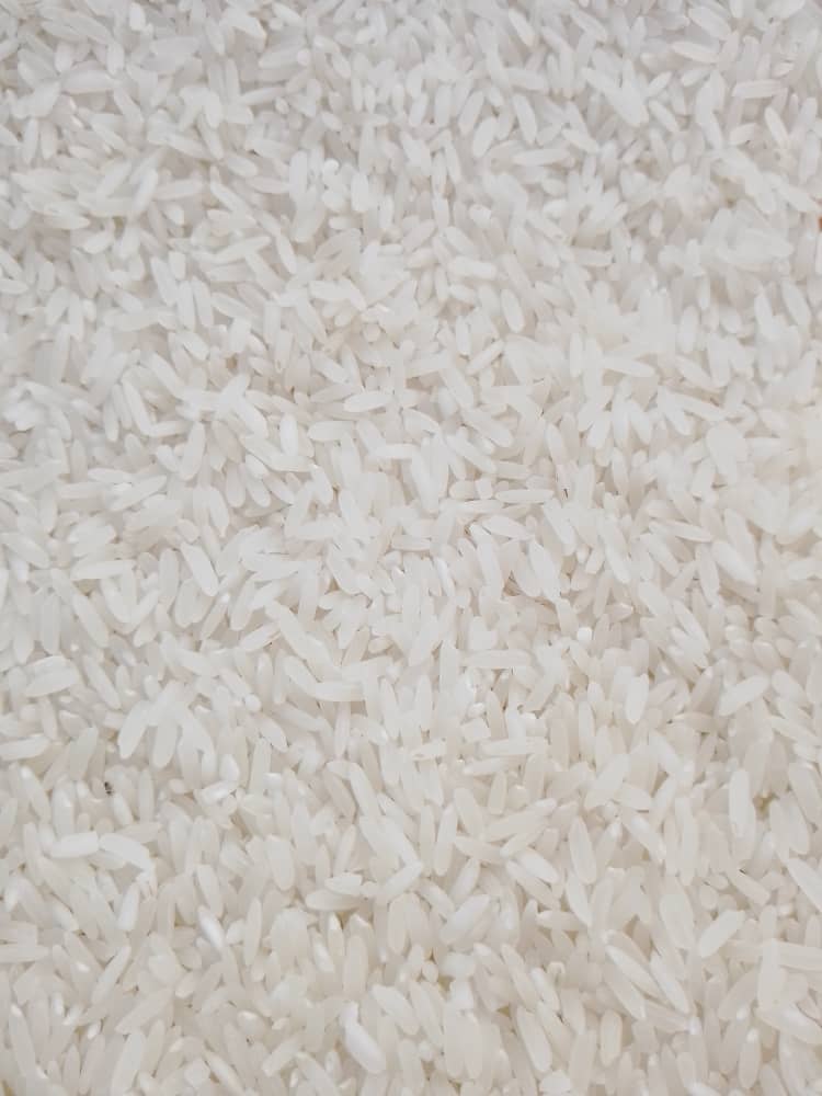 Rice